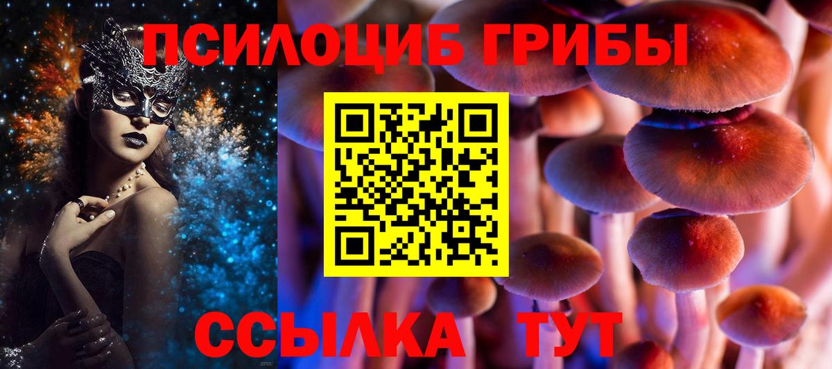 Псилоцибиновые грибы Psilocybine cubensis Саратов
