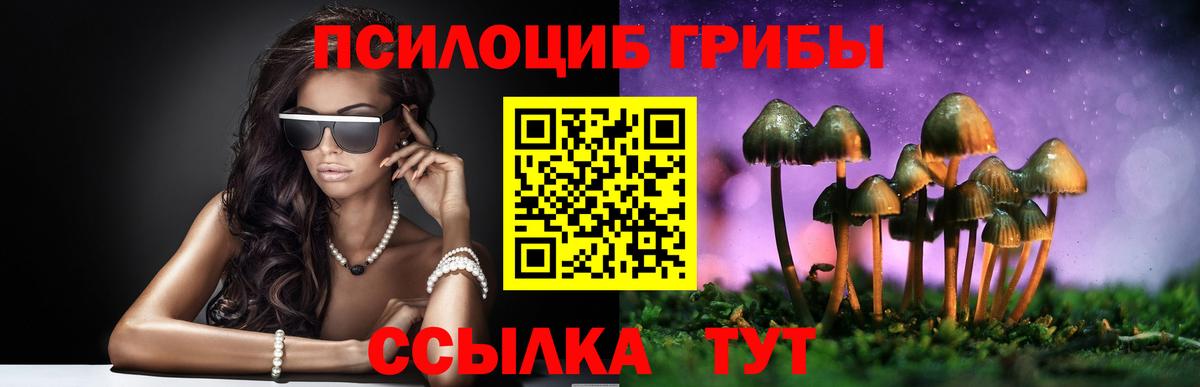 Галлюциногенные грибы Cubensis  Вход с VPN  Саратов 